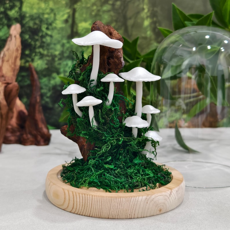 May include: A whimsical terrarium featuring white mushroom sculptures on a bed of green moss, mounted on a wooden base. The mushrooms are clustered on a piece of wood, and the scene is partially enclosed by a glass dome.