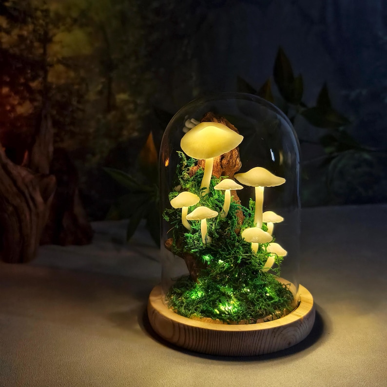 May include: A decorative glass cloche featuring illuminated mushroom figurines. The mushrooms are various sizes and colors, set amidst green moss and small green lights, all atop a wooden base. The cloche is clear, allowing a full view of the miniature forest scene.