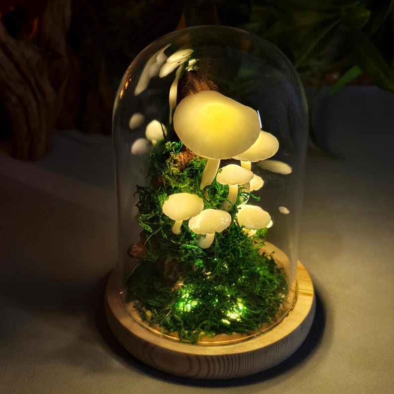 May include: A decorative glass dome featuring a miniature mushroom garden. The mushrooms are illuminated with a soft, warm glow, nestled among vibrant green moss and tiny fairy lights. The base is made of light-colored wood.