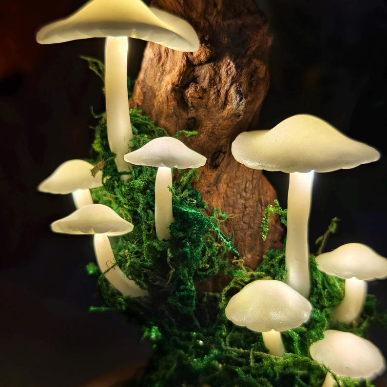 May include: A cluster of glowing mushroom lights with white caps and stems, nestled in green moss and attached to a piece of brown wood. The mushrooms are illuminated, creating a soft, ambient glow. The overall theme is a whimsical, fairy-tale aesthetic.