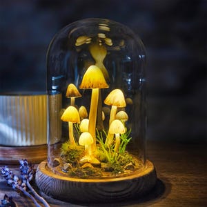 Seta luminosa minimalista - Lámpara de noche de bosque de hongos encantados - Diorama de musgo y piedra reales - Lámpara de mesa botánica - Regalo inspirado en la naturaleza