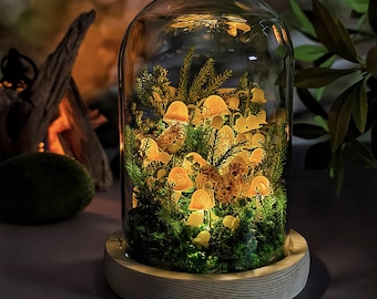 Könnte beinhalten: Eine Glaskuppel auf einem Holzsockel zeigt eine Miniatur-Pilzszene mit Beleuchtung. Die Szene umfasst leuchtende Pilze, grünes Moos und getrocknete Blumen. Die Cloche wird von innen beleuchtet und erzeugt einen warmen, einladenden Schein.