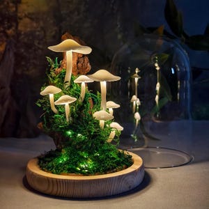 May include: A whimsical mushroom lamp with glowing white caps and stems, nestled in vibrant green moss. The mushrooms are arranged on a piece of wood and set in a wooden base. The lamp is illuminated with small fairy lights, creating a magical ambiance.