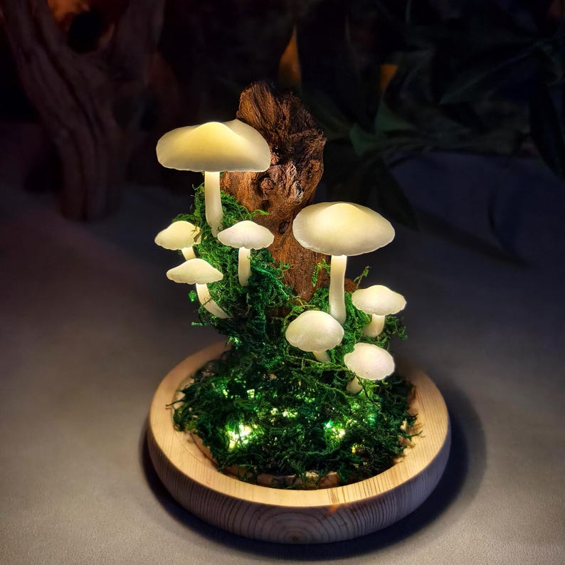 May include: A decorative mushroom lamp featuring several glowing white mushroom caps of varying sizes. The mushrooms are set in green moss and attached to a piece of wood, all within a round wooden base. Small green lights illuminate the moss.