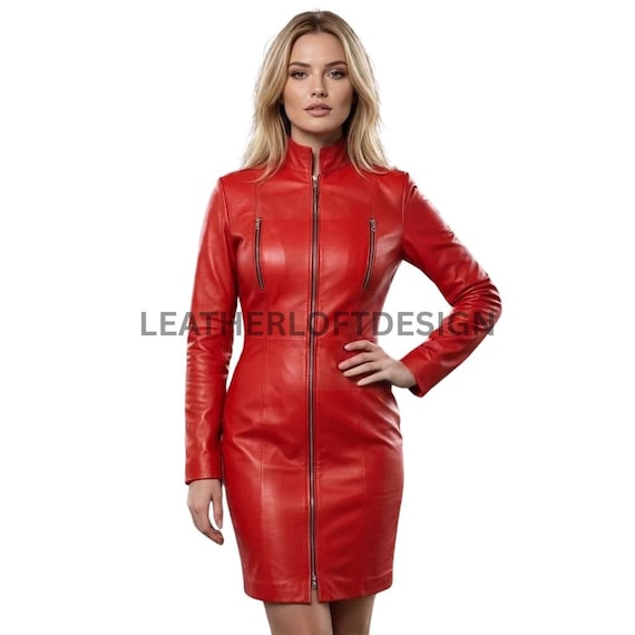 Women's Real Leather Zip Front Dress High Collar Long Sleeve Modern Dress