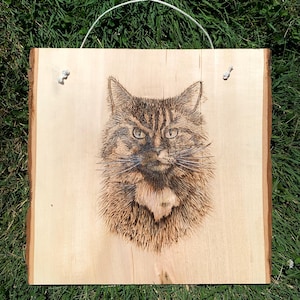 Custom Pet Portraits