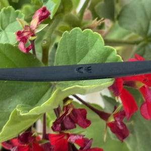May include: A black object with the letters "CE" imprinted on it, set against a backdrop of vibrant red flowers and green leaves. The flowers are in full bloom, adding a splash of colour to the scene.
