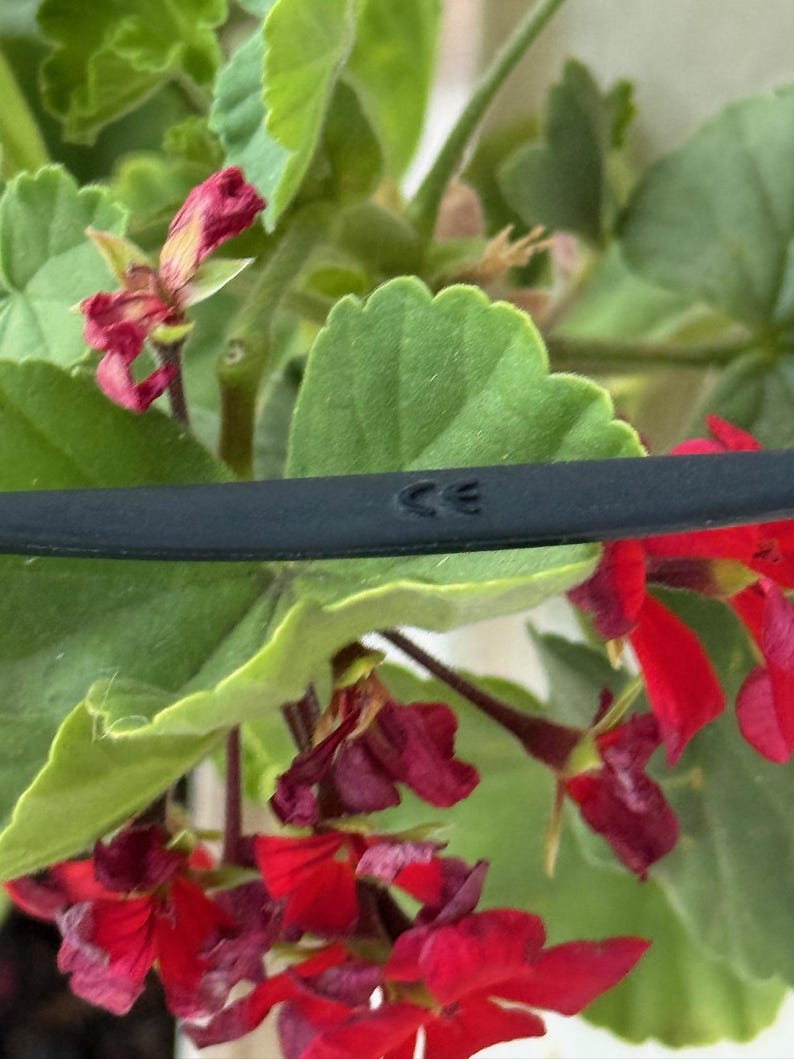 May include: A black object with the letters "CE" imprinted on it, set against a backdrop of vibrant red flowers and green leaves. The flowers are in full bloom, adding a splash of colour to the scene.