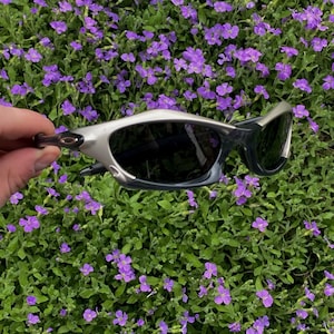 May include: Silver and black sunglasses with dark lenses. The sunglasses have a sleek, modern design. The image shows the sunglasses against a backdrop of vibrant purple flowers and green foliage.