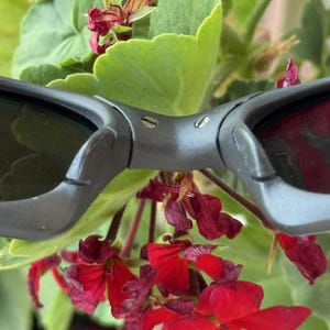 May include: Close-up of grey sunglasses with dark lenses, set against a backdrop of green leaves and vibrant red flowers. The sunglasses have a modern, angular design. The flowers add a pop of colour.