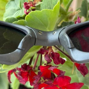 May include: Close-up of black sunglasses with dark lenses. The sunglasses are set against a backdrop of green leaves and vibrant red flowers. The frame of the sunglasses is a matte black.