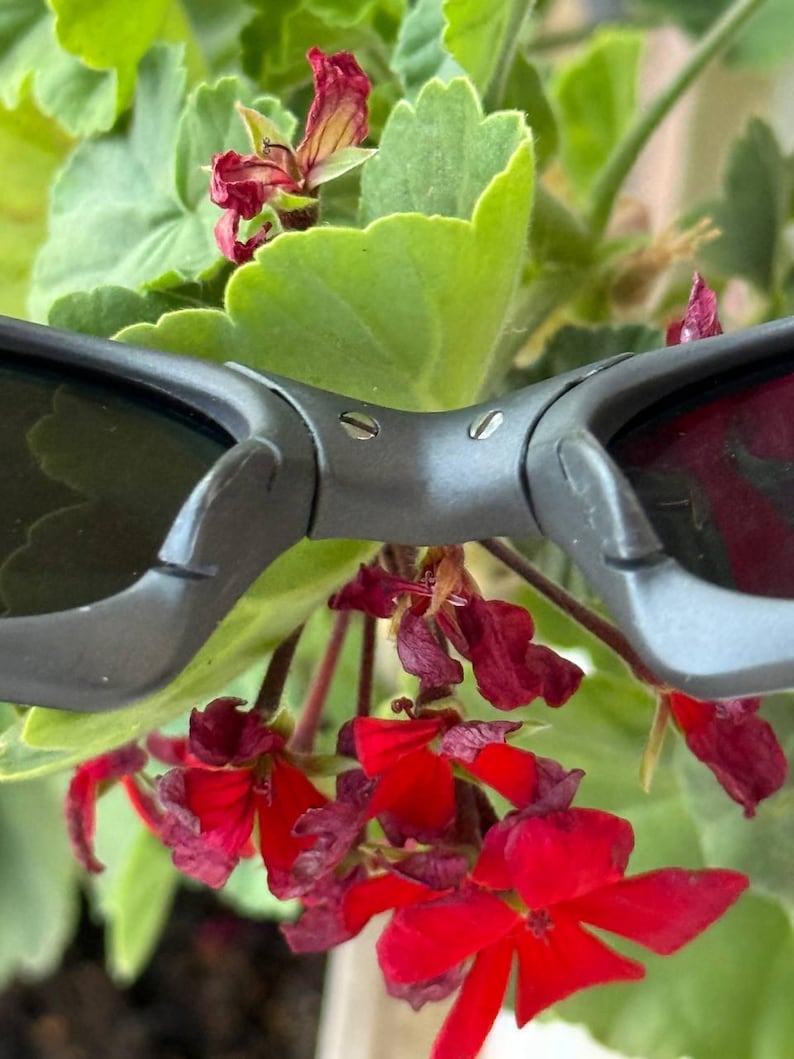 May include: Close-up of black sunglasses with dark lenses. The sunglasses are set against a backdrop of green leaves and vibrant red flowers. The frame of the sunglasses is a matte black.
