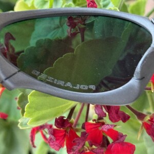 May include: Close-up of grey sunglasses with green lenses. The word "POLARIZED" is printed on the lens. The sunglasses are set against a backdrop of green leaves and red flowers.
