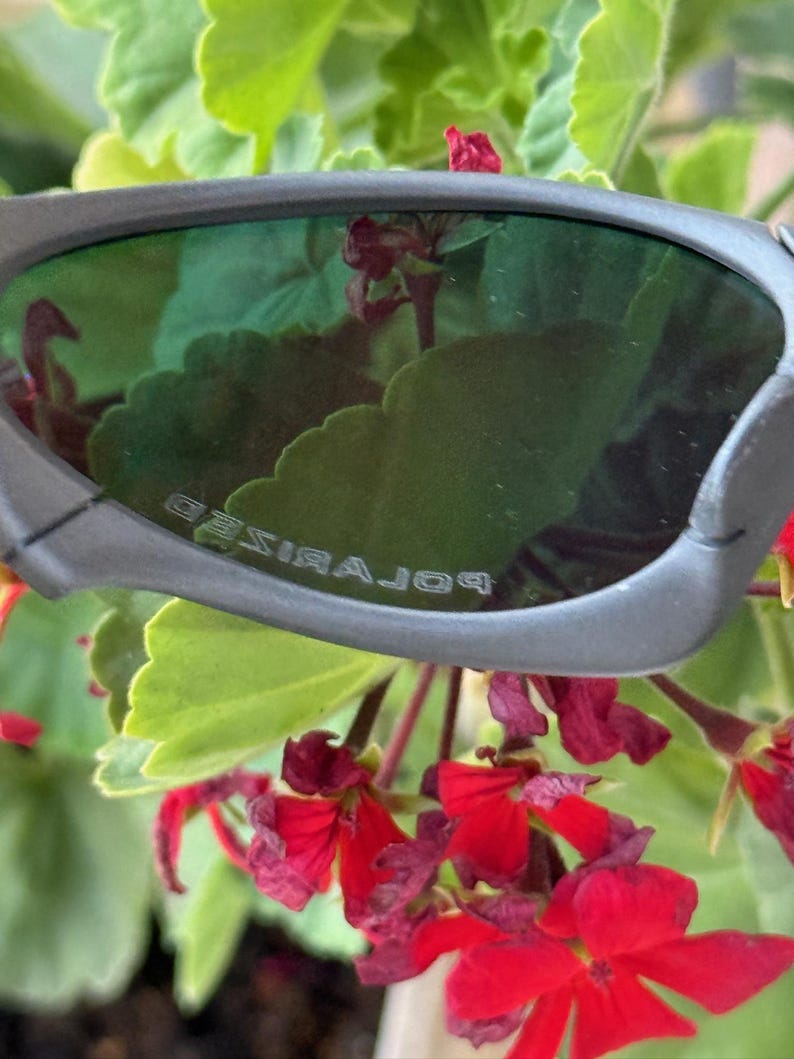 May include: Close-up of grey sunglasses with green lenses. The word "POLARIZED" is printed on the lens. The sunglasses are set against a backdrop of green leaves and red flowers.