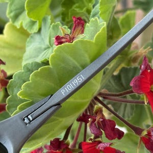 May include: Close-up of grey metal shears with the text "P1011951" printed on the blade. The shears are set against a backdrop of green leaves and vibrant red flowers, creating a contrast of textures and colours.