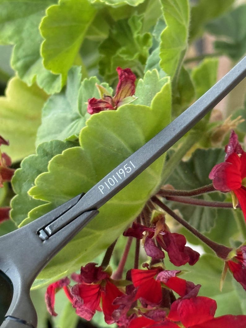 May include: Close-up of grey metal shears with the text "P1011951" printed on the blade. The shears are set against a backdrop of green leaves and vibrant red flowers, creating a contrast of textures and colours.