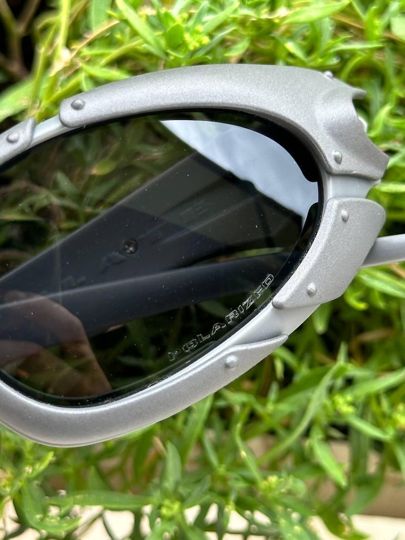 May include: Close-up of silver-framed sunglasses with dark polarized lenses. The frame has a riveted design and the word "POLARIZED" is visible on the lens. The sunglasses are set against a backdrop of green foliage.