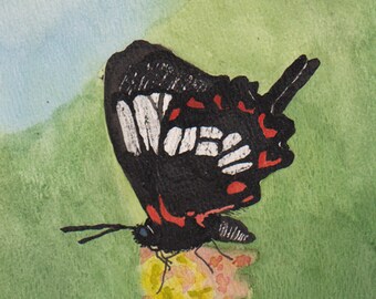 Vlinder