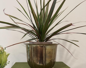 Vintage Brass Plant Pot with Fluted Design
