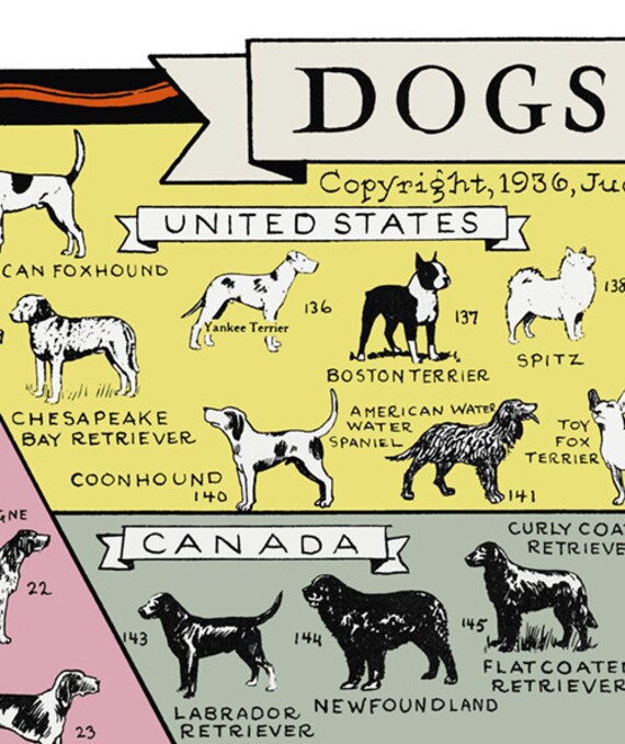 Big Dog Breeds Chart