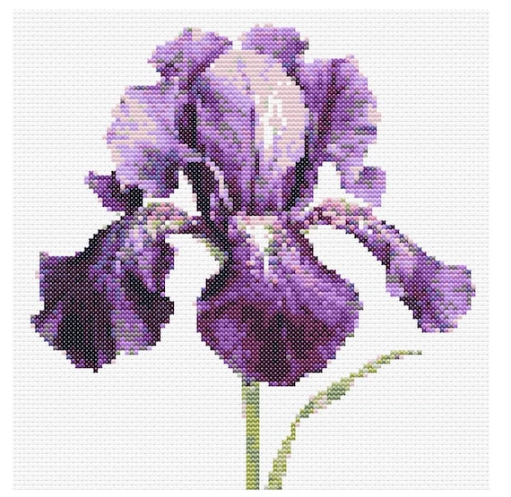 Patrón Punto de Cruz Floral - "Iris Violeta" - Diseño de Autor - PDF Descarga Inmediata