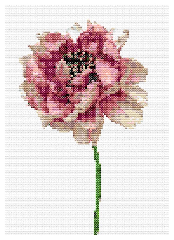 Patrón Punto de Cruz Botánico - "Paeonia Suffruticosa" - Diseño de Autor - PDF Descarga Inmediata