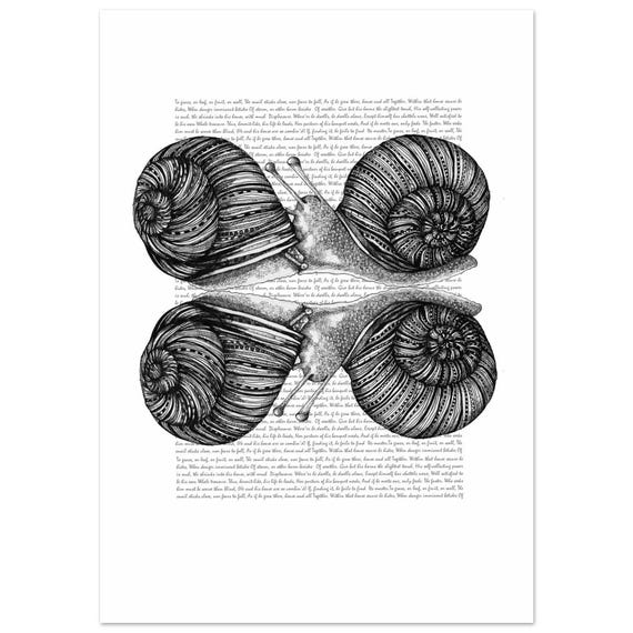 Caracol 4 - Lámina caracol poético "The Snail William Cowper - Ilustración Tinta y Poesía - montaje artístico