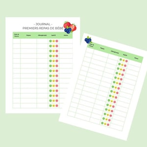May include: Two white baby food journal pages with green grid lines and the text "JOURNAL - PREMIERS REPAS DE BÉBÉ". Each page has columns for date, meal, allergens, appetite, and notes. Decorative strawberries and blueberries are in the top right corner.