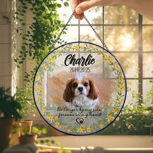 Personalized Pet Memorial Stained Glass Suncatcher with Photo and Name, Dog Loss Gift, Pet Remembrance Keepsake, Sympathy Gift