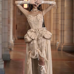 Rococo Blush Garden Corset, 3D Rose Lace Bodice, Fairycore Apron Peplum, Bridal fantasy themes, Xmas & New Year Outfit, Baroque Party Dress