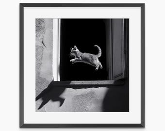 Katze Druck, Fotografie Drucke, Katze Poster, Katze Wandkunst, Retro Poster, Schwarzweiß Wandkunst, Fotografie Poster in Museumsqualität