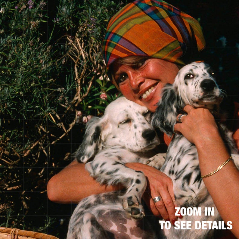 A woman in a colorful headscarf is holding two spotted dogs, one in each arm, in front of a lush green bush.