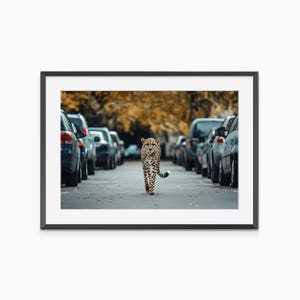 Cheetah Print, Photography Prints, Fine Art Print, Animal Print, Aesthetic Room Decor, Wall Art Prints, Museum Quality Photography Poster