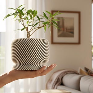 Può includere: Un vaso decorativo a strisce bianche e nere con una piccola pianta verde. Il vaso ha una forma arrotondata ed è tenuto in mano da una persona. La pianta ha piccole foglie verdi. Il vaso misura circa 15 cm di altezza.