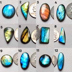 Op de afbeelding: Een verzameling van twaalf gepolijste labradoriet edelstenen in verschillende vormen, waaronder rond, ovaal en druppelvormig. De stenen vertonen iriserende flitsen van blauw, groen, geel en oranje. Elke steen ligt naast een munt ter groottevergelijking.