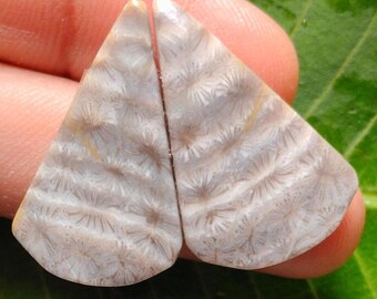 Fossil Coral Cabochon Matching Pair, Gray Gemstone, 28X17X4MM