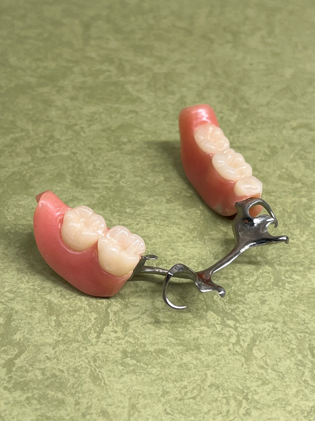 Vintage False Teeth Partial Dentures Curiosity Oddity Tooth Etsy