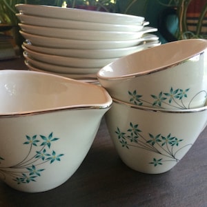 Mid Century Modern Dishes Set of 15 Lug Handle Blue Floral Retro Atomic Kitchen Royal China Platinum Sorrento