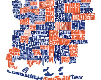 Nassau County Town Type Map