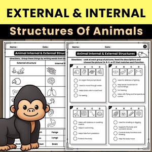 Folhas de exercícios sobre estruturas de animais e plantas: NGSS, 3ª a 5ª séries (download em PDF)