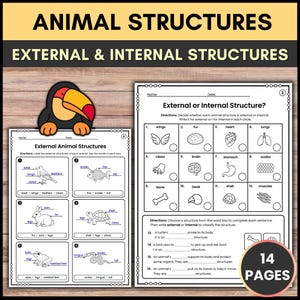 May include: Educational worksheet set titled ANIMAL STRUCTURES EXTERNAL & INTERNAL STRUCTURES featuring black and white line drawings of animals and organs with labeling exercises and classification tasks for students, totaling 14 pages.