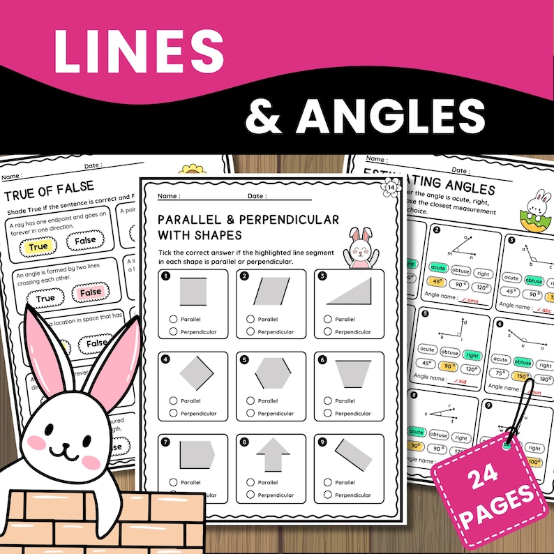 Lines, Rays, Angles & Geometry Worksheets | 3rd 4th Grade Math ...