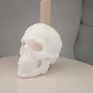Skull Straw Topper
