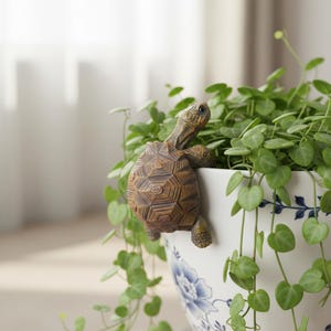 Peut inclure: Une décoration de pot de fleur en forme de tortue brune s'accroche au bord d'un pot en céramique blanc avec des motifs floraux bleus. Des plantes vertes et feuillues retombent sur le côté.