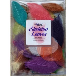 May include: A clear plastic container filled with colorful skeleton leaves. The leaves are in various colors, including teal, red, purple, and orange. The container has a white label with the text "Skeleton Leaves".