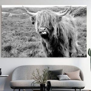 Highland Cow Canvas Poster Print, Rustic Cattle Canvas Print for Farmhouse and Country Decor, Scottish Highland Cattle Wall Art, Unframed