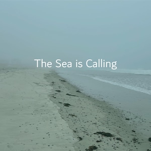 Puede incluir: Una serena escena de playa bajo un cielo brumoso. El texto "The Sea is Calling" se muestra en blanco. La orilla arenosa se encuentra con el océano, con suaves olas y un horizonte brumoso.