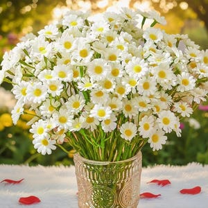 Op de afbeelding: Een groot boeket witte madeliefjes met gele centra in een decoratieve glazen vaas. De bloemen zijn gerangschikt met groene stelen en rode bloemblaadjes zijn verspreid rond de vaas. De achtergrond is wazig met zonlicht.