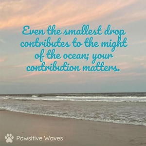Inspirational Ocean Magnet: &quot;Even the smallest drop contributes to the might of the ocean; your contribution matters.&quot;