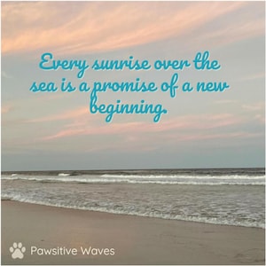 Inspirational Ocean Magnet: &quot;Every sunrise over the sea is a promise of a new beginning.&quot;